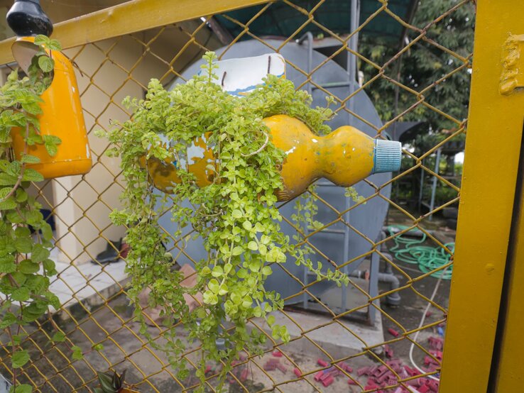 Upcycling-Blumentopf aus Waschmittelflasche mit dichter Grünpflanze, horizontal am Zaun vor Werkstatthof befestigt.
