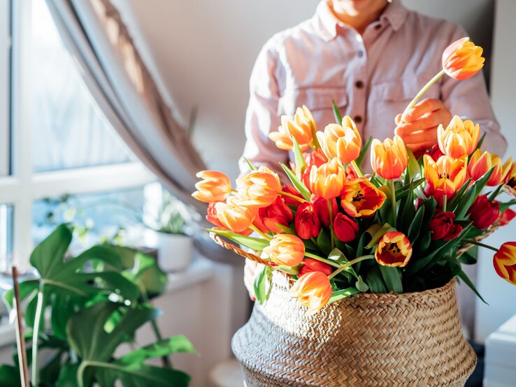 Hände einer jungen Person setzen frische Tulpen in Gelb und Rot in einen Korb, neben einem Fenster mit grüner Zimmerpflanze.