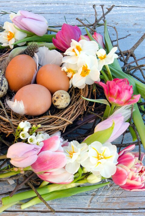Frühlingshafter Osterkranz aus Zweigen mit Tulpen und Narzissen; im Nest liegen braune Hühner- und gesprenkelte Wachteleier auf blauem Holz.