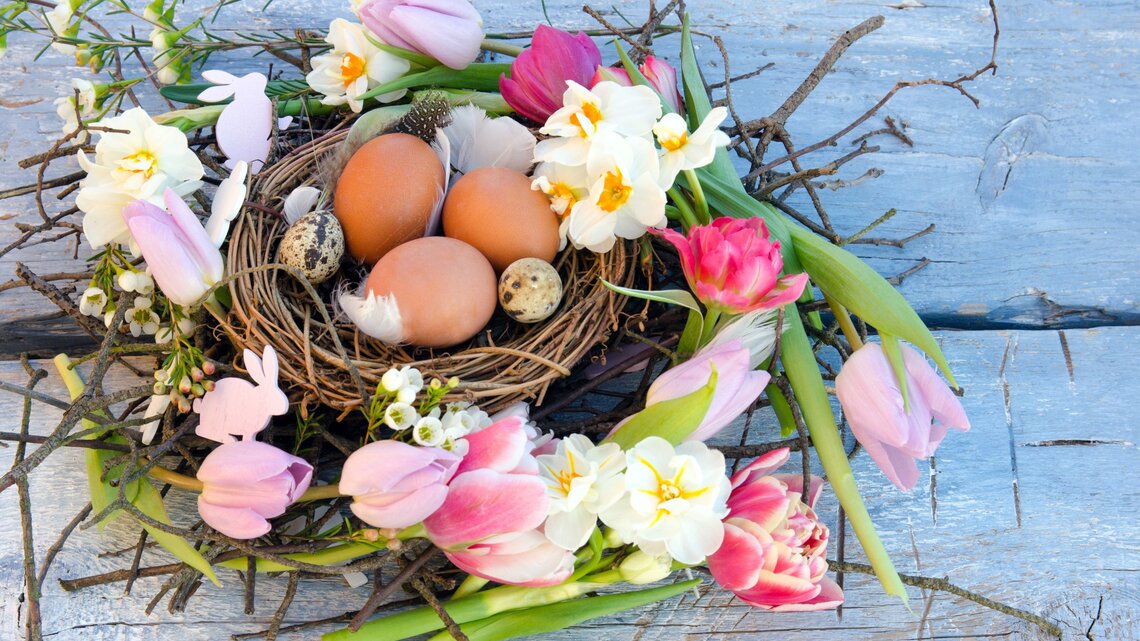 Frühlingshafter Osterkranz aus Zweigen mit Tulpen und Narzissen; im Nest liegen braune Hühner- und gesprenkelte Wachteleier auf blauem Holz.
