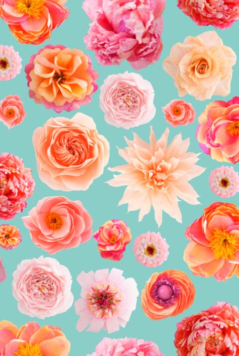 Verschiedene handgebastelte Papierblumen in Rosa-, Creme- und Orangetönen auf blauem Hintergrund.