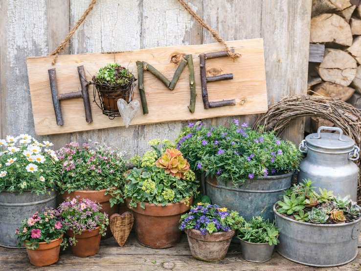 Rustikales Willkommensschild mit Zweigen geformtem Schriftzug "HOME", umgeben von bunten Blumen in Töpfen vor verwitterter Holzwand