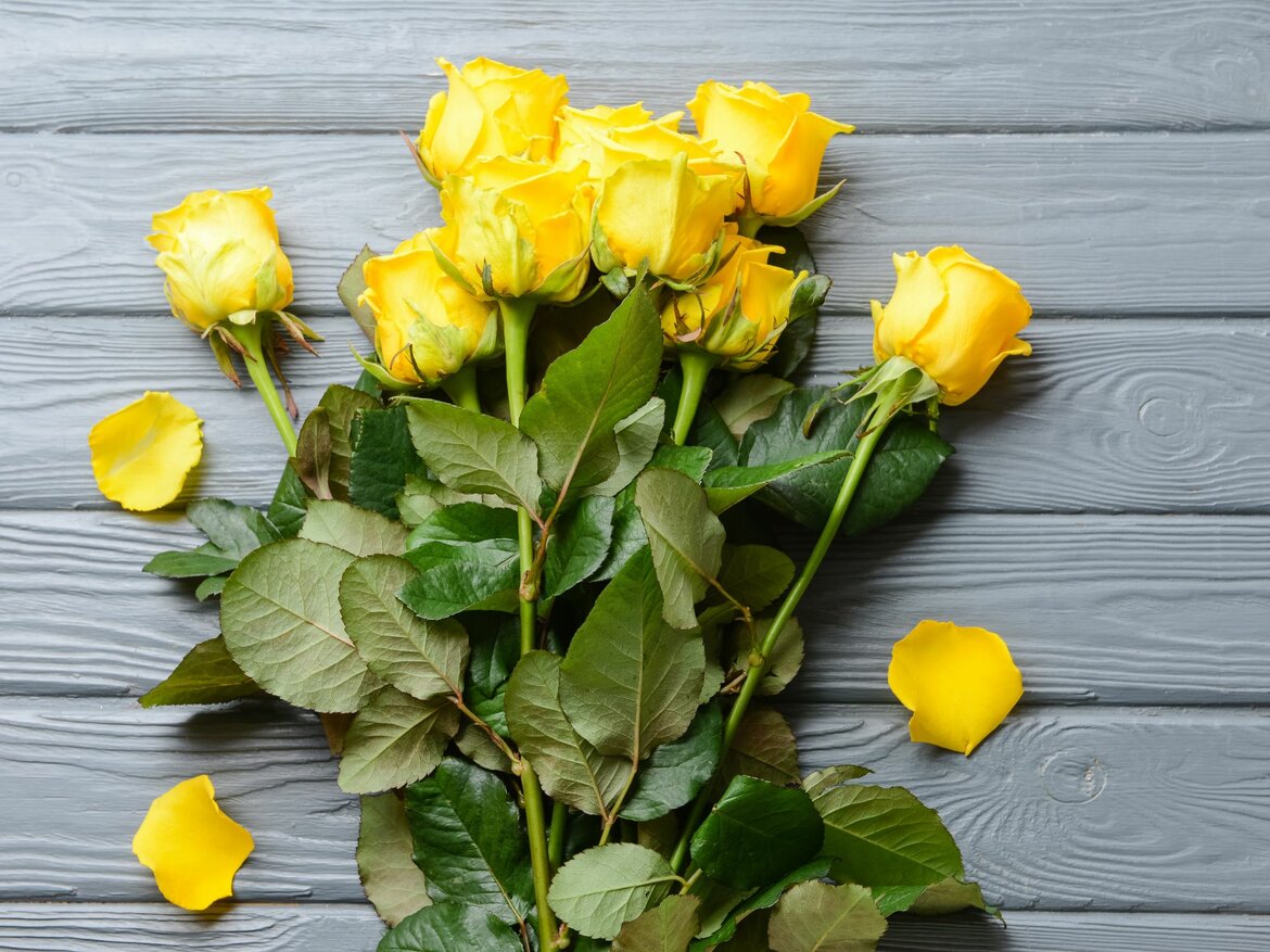 Strahlend gelbe Rosen mit grünen Blättern und losen Blütenblättern auf grauem Holzhintergrund. | © Adobe Stock/Pixel-Shot