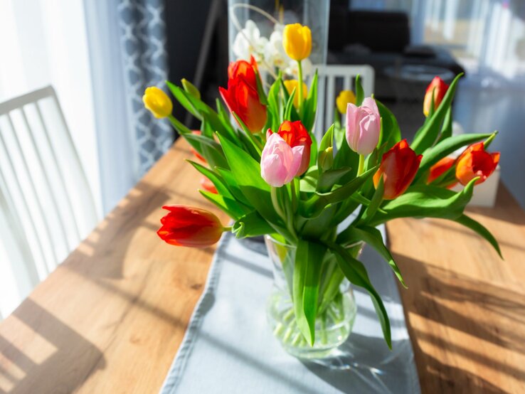 Ein lebhafter Strauß roter, gelber und rosa Tulpen steht in voller Blüte in einer klaren Glasvase auf einem Holztisch. Der Tisch ist teilweise mit einer blauen Stofftischdecke bedeckt. Die Szene ist in einem hellen Raum mit Tageslicht aufgenommen, das durch ein nahegelegenes Fenster hereinfällt, wodurch lebhafte Schatten und Lichtspiele auf dem Tisch und den Wänden entstehen. Dieses Arrangement vermittelt ein Gefühl von Frische und Frühlingsstimmung in einem Hausinterieur.