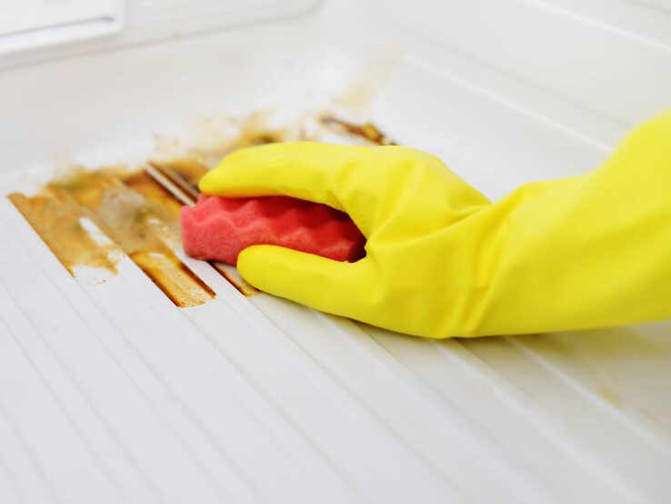 Hand mit gelbem Handschuh entfernt Schimmel im Kühlschrank mit rotem Schwamm
