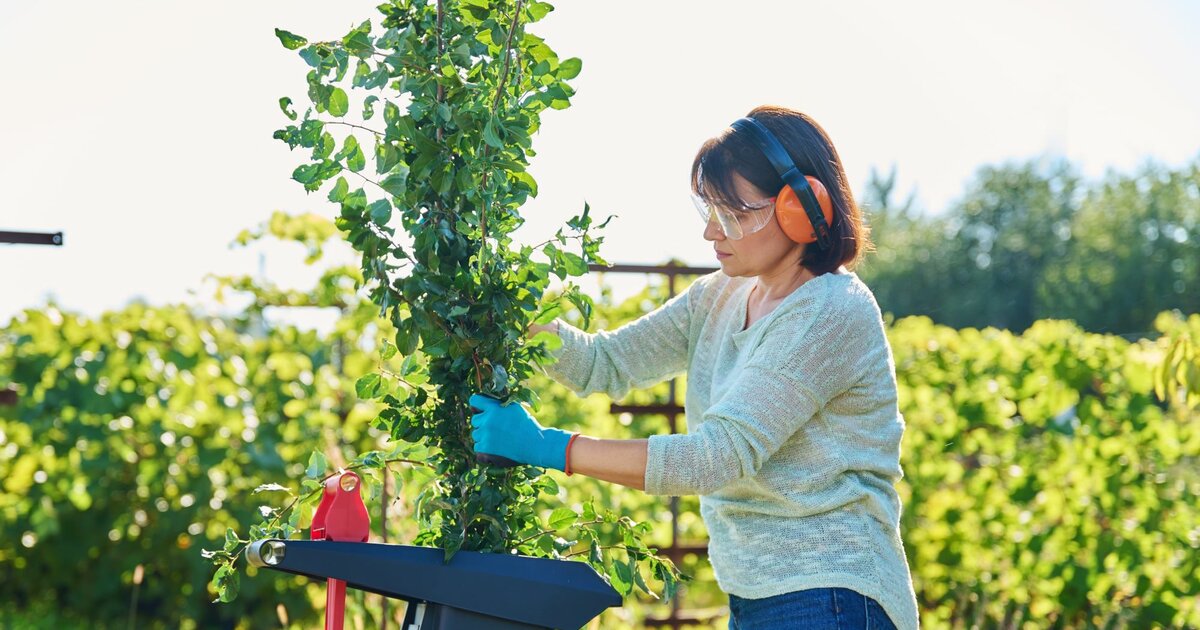 Gartenarbeit Darf man sonntags häckseln?