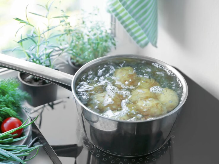 Kartoffeln kochen in einem Topf. Dahinter stehen mehrere Zimmerpflanzen.