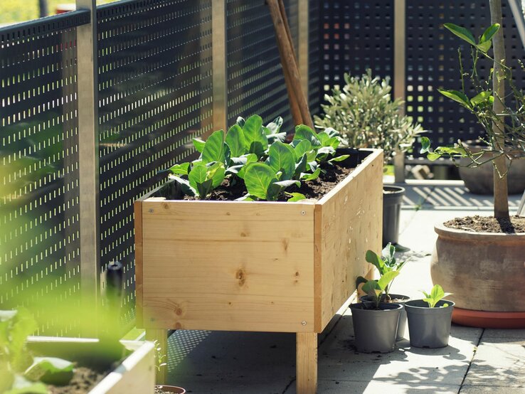 Ein Hochbeet aus Holz steht auf einer Terrasse. | © Shutterstock/TG23