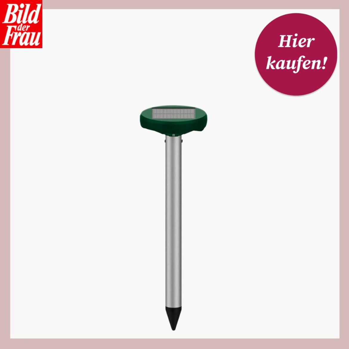  Ein Maulwurfschreck mit Solarmodul auf dem grünen Kopf, montiert auf einem rostfreien Aluminiumstab mit einem schwarzen spitzen Ende, präsentiert auf einem hellrosa Hintergrund mit dem Logo "Bild der Frau" in der linken oberen Ecke und einem runden, magentafarbenen Etikett mit der Aufschrift "Hier kaufen!" in der rechten oberen Ecke. | © Lidl 