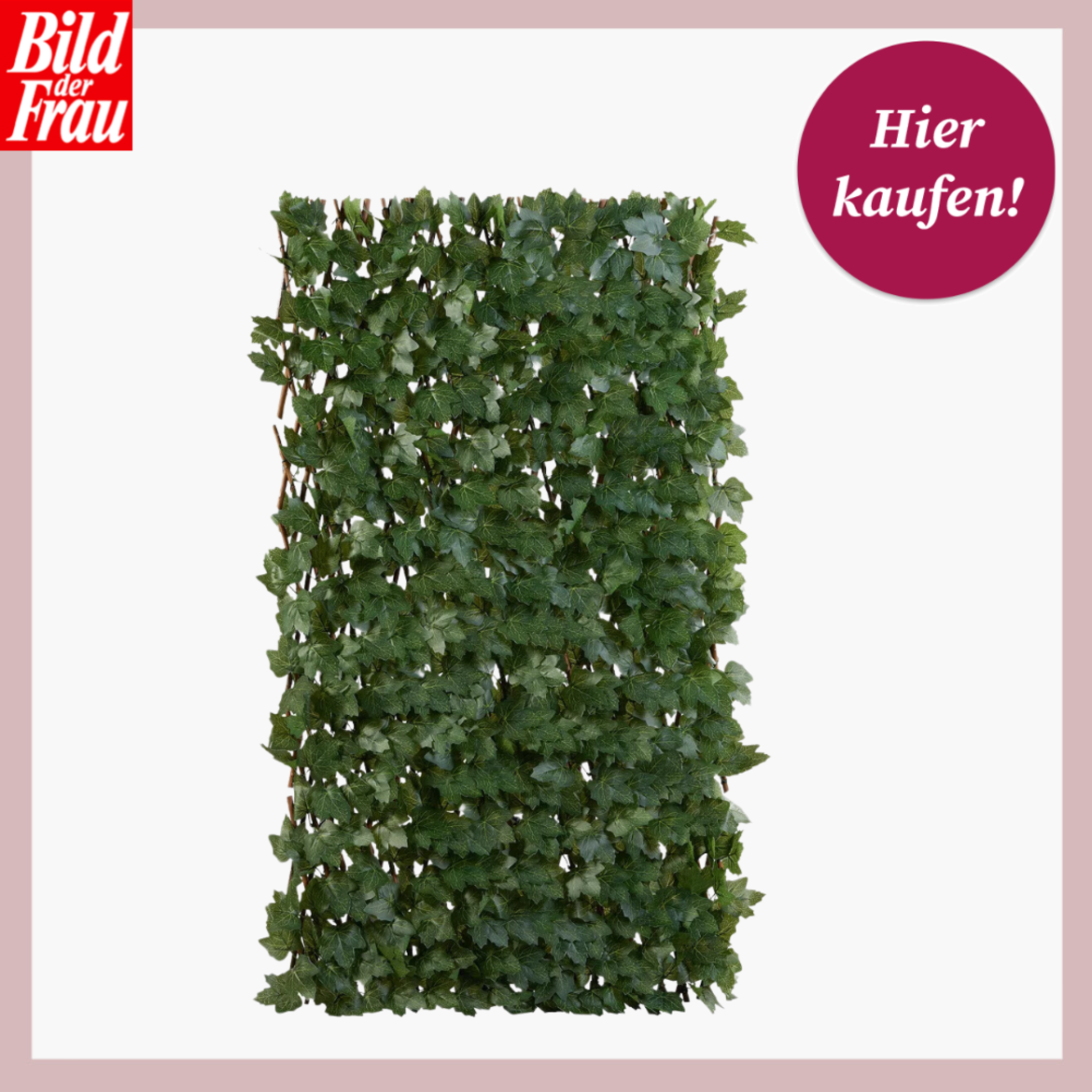  Ein ausziehbares Spalier aus echten Weidenzweigen mit künstlichen Efeublättern, für die Verwendung als Sichtschutz auf Balkonen oder Terrassen, mit einem Hinweisbutton zum Kauf. | © Lidl 