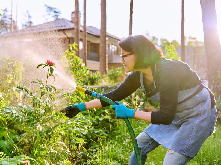 Eine Frau in Gartenschürze und Handschuhen gießt ihre Blumen im Garten mit einem Gartenschlauch.