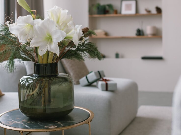 Amaryllis Pflege Kurzanleitung Weiße Amaryllis in voller Blüte mit Tannengrün in einer Vase, dekorativ auf einem Tisch im Wohnzimmer platziert – Amaryllis Pflege Kurzanleitung.