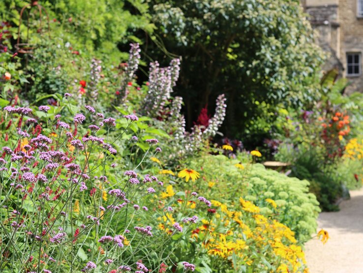 Farbenfroher Bauerngarten mit violettem Eisenkraut, gelben Sonnenhüten und üppigem Grün entlang eines geschwungenen Kieswegs.