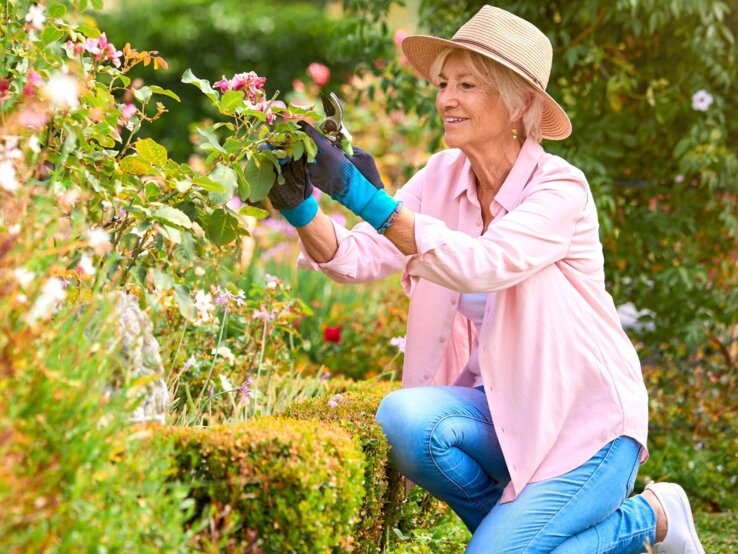 Ältere Frau mit Strohhut und rosa Hemd kniet lächelnd im Garten und schneidet mit Handschuhen Rosen vor blühendem Strauch zurück.
