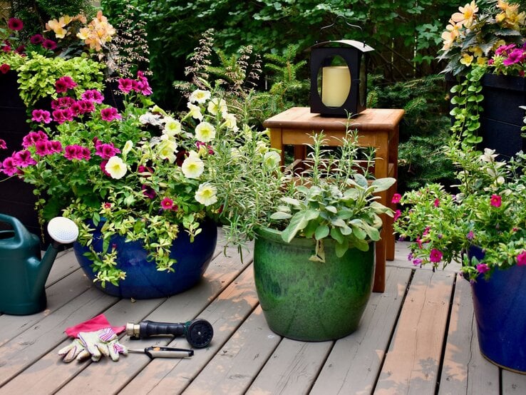 Bunte Blüten in großen blauen und grünen Töpfen auf Holzterrasse, daneben Gartenhandschuhe, Gießkanne und eine schwarze Laterne.