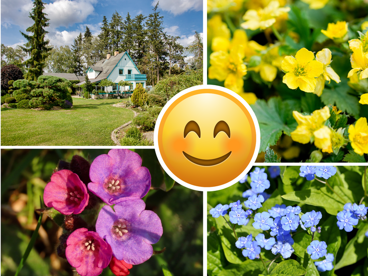 Das Bild zeigt eine fröhliche Garten-Collage mit einem zentralen lächelnden Emoji und vier Motiven rundherum. Oben links ist ein idyllisches Landhaus mit gepflegtem Garten unter hohen Nadelbäumen zu sehen – vermutlich Tannen oder Fichten. Die anderen drei Bilder zeigen typische Stauden für halbschattige bis schattige Standorte: oben rechts gelbe Blüten der Waldsteinia ternata (Dreiblättrige Waldsteinie), unten links rosa-violette Pulmonaria (Lungenkraut).
