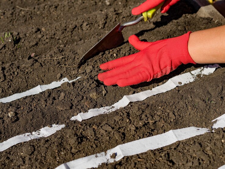 DIY-Saatband Eine Person mit roten Gartenhandschuhen legt ein DIY-Samenband in dunkle Erde und glättet vorsichtig die Erde mit der Handfläche.