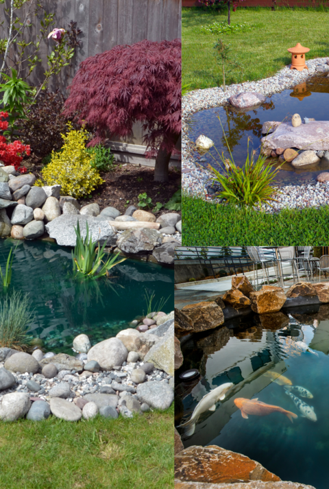 Drei unterschiedlich gestaltete Gartenteiche mit Steinen eingefasst, umgeben von Blumen, Rasen und asiatisch inspirierten Deko-Elementen.