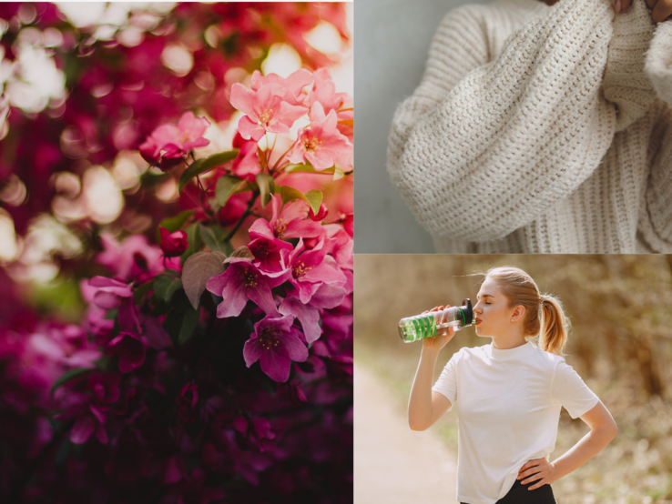 Üppige pinke Blüten im Sonnenlicht, daneben ein grob gestrickter beigefarbener Pullover und eine junge Frau beim Trinken im Park.