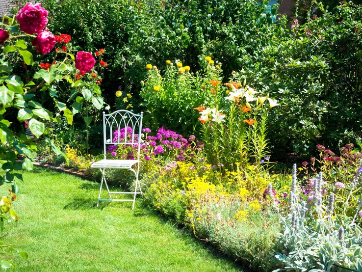 Romantische Stauden Staudenbeet Weißer Gartenstuhl steht im Sonnenlicht vor romantischem Staudenbeet mit Lilien, Rosen, Astern und dichten grünen Büschen.