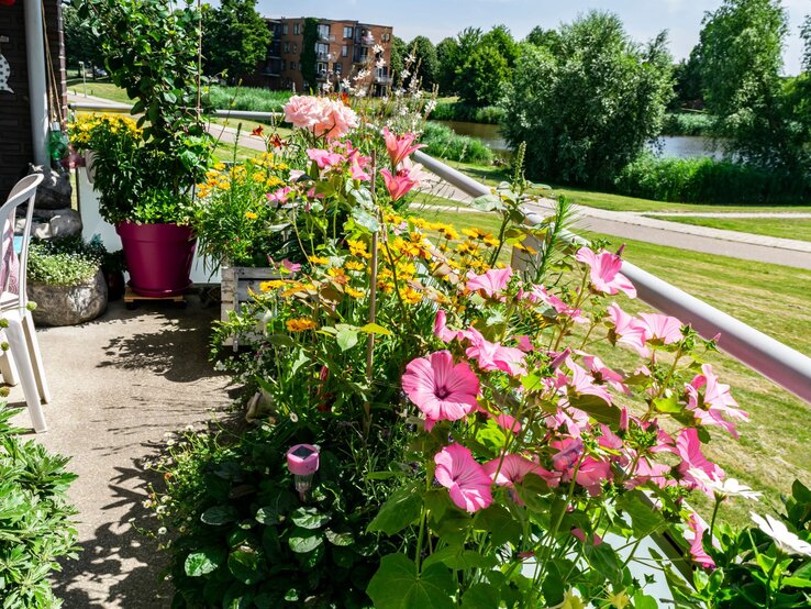 Beste Balkonpflanze Bunter Balkon voller blühender Sommerblumen mit Blick auf eine grüne Parklandschaft und einen kleinen Fluss im Hintergrund.