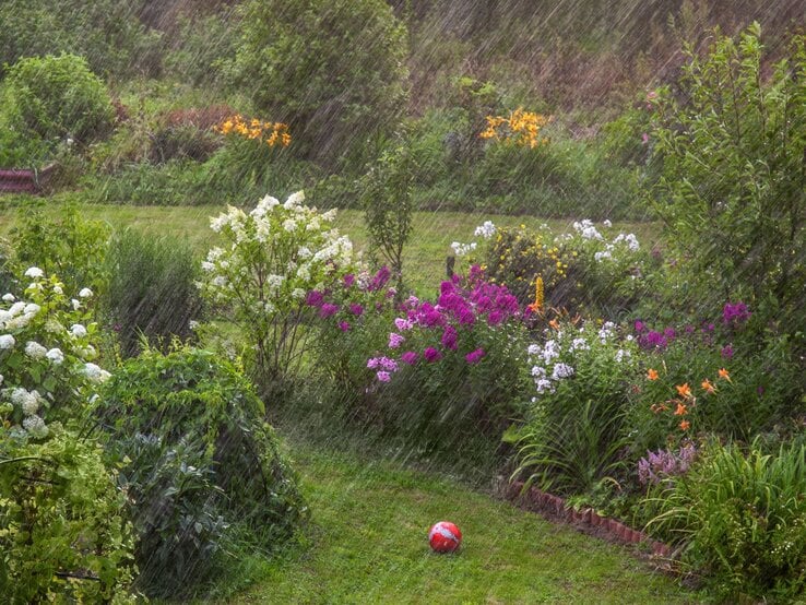 Starker Sommerregen fällt auf blühende Staudenbeete mit weißen, violetten und orangefarbenen Blumen, vorn liegt ein roter Fußball.