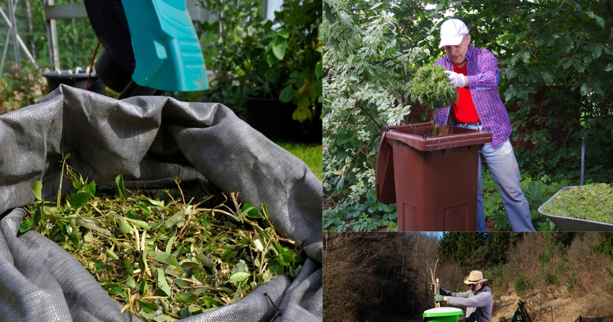 Biotonne voll? Dieser Otto-Gartenhäcksler machen kurzen Prozess mit ...