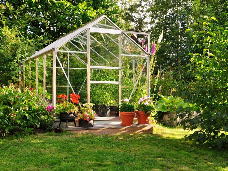 Gewächshaus Lidl günstig Gartenarbeit Ein gläsernes Gewächshaus steht von Blumen umgeben auf Holzpodest im sonnigen Garten mit üppigem Grün im Hintergrund.