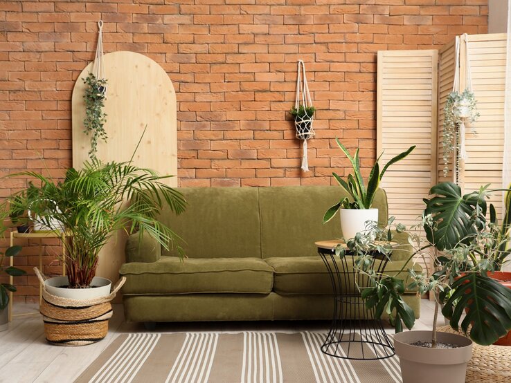Beste Zimmerpflanze Wohnzimmer Grünes Sofa vor Ziegelwand, umgeben von Zimmerpflanzen in Töpfen und Makramee, auf gestreiftem Teppichboden.