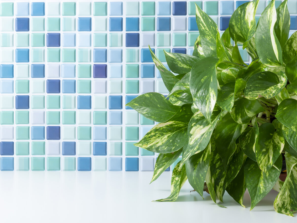 Die beste Pflanze für dein Badezimmer | © AdobeStock/ kf4851 Efeutute im Badezimmer mit blauen Fließen | © AdobeStock/ kf4851