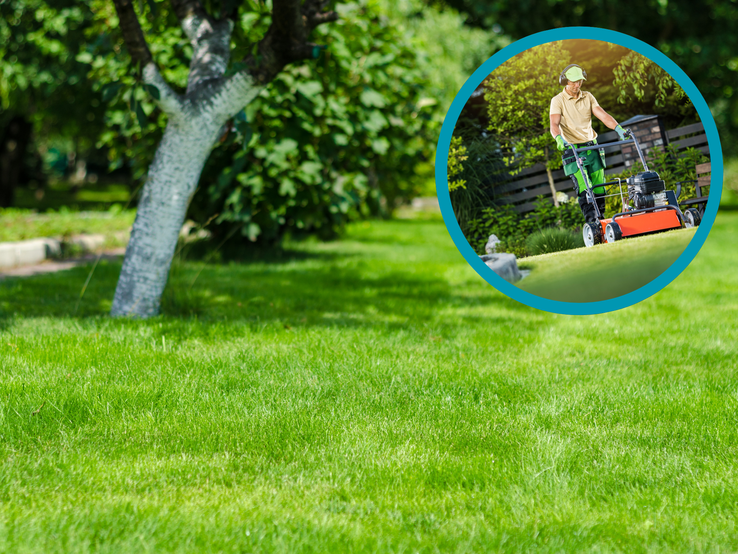 Ein Mann in grüner Arbeitshose mäht an einem sonnigen Tag mit rotem Rasenmäher das dichte, frischgrüne Gartenrasenstück.