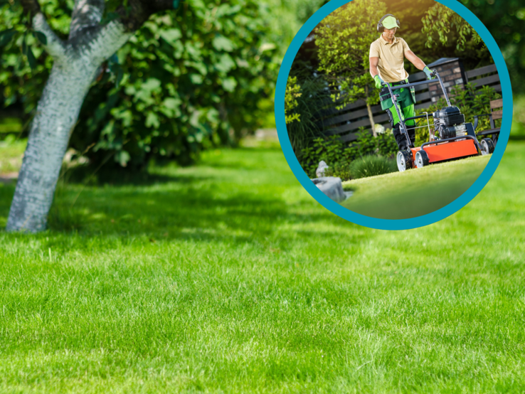 Ein Mann in grüner Arbeitshose mäht an einem sonnigen Tag mit rotem Rasenmäher das dichte, frischgrüne Gartenrasenstück.