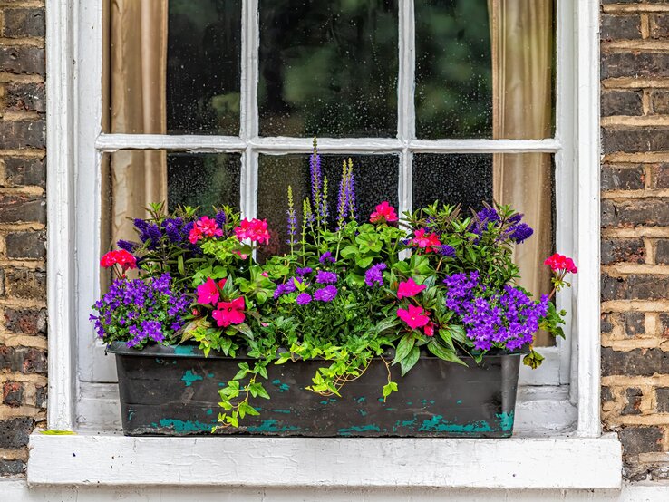 Ein Blumenkasten mit leuchtend pinken und violetten Blumen steht auf einem weißen Fensterbrett vor einem Ziegelmauer-Hintergrund.