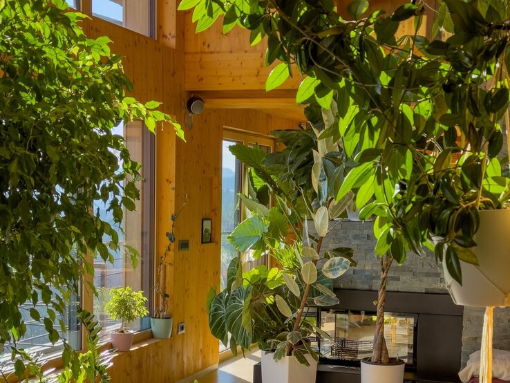 Lichtdurchflutetes Wohnzimmer mit großen, hölzernen Fensterrahmen, üppigen Grünpflanzen und einem schwarzen Kamin vor einer Steinwand. | © Shutterstock/Flystock