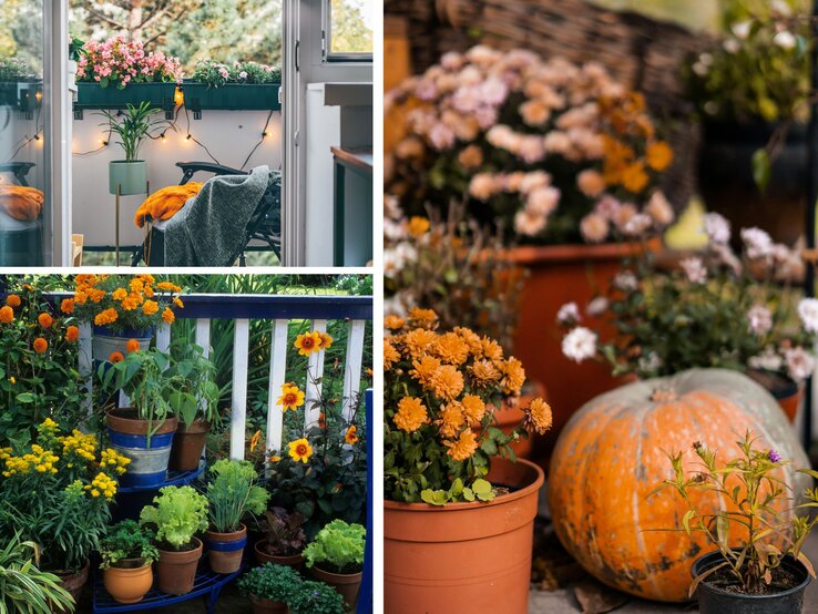 Herbstlich geschmückter Balkon mit Blumentöpfen, Kürbis und orangegelber Chrysantheme, daneben eine Holzbank mit Textil.