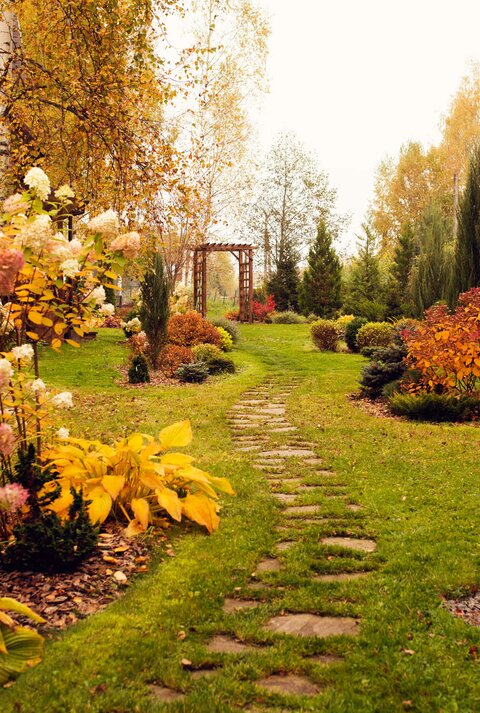 Herbstlicher Garten