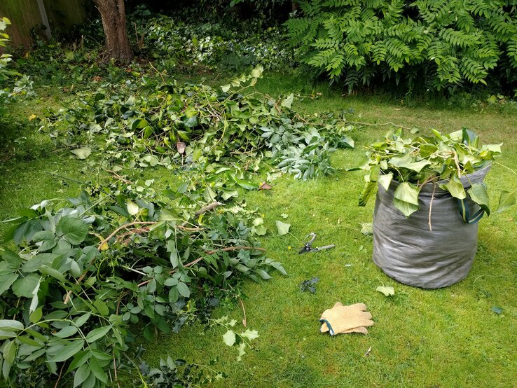 Auch kleine Schritte verändern den Blick: Wer bewusst ausmistet, entdeckt den Garten neu. Grünschnitt auf einer Wiese und in einem speziellen Beutel.