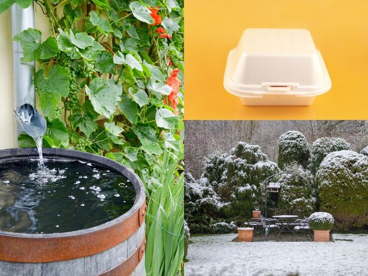 Wasser fließt aus einer Metallrinne in eine Holzfass-Tonne, umrankt von grünem Weinlaub und roten Blüten an einer beigen Wand.