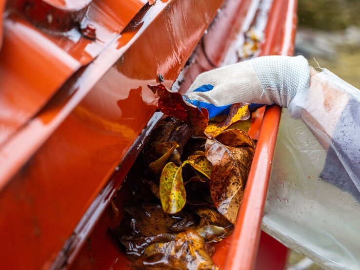 Nahaufnahme einer Hand mit Handschuh in einem roten Regenrinnensystem, entfernt herbstliche Blätter und Schmutz.