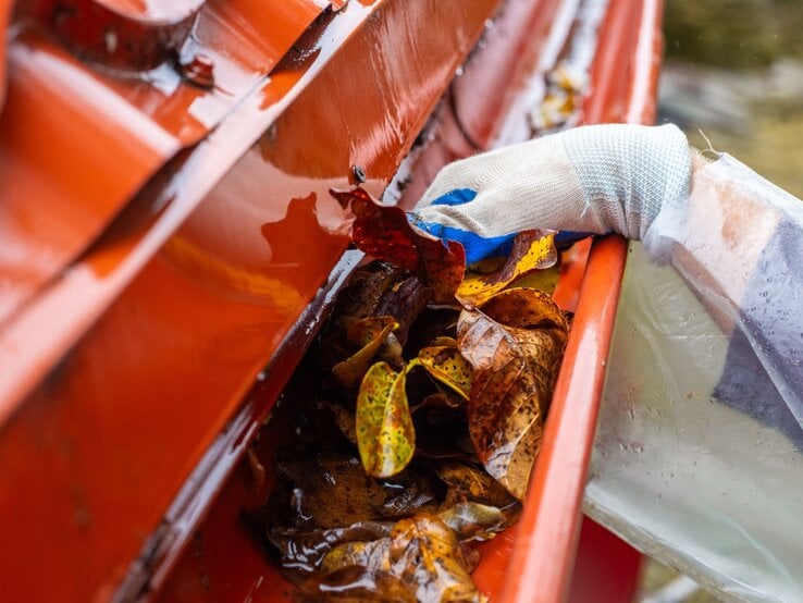 Nahaufnahme einer Hand mit Handschuh in einem roten Regenrinnensystem, entfernt herbstliche Blätter und Schmutz.
