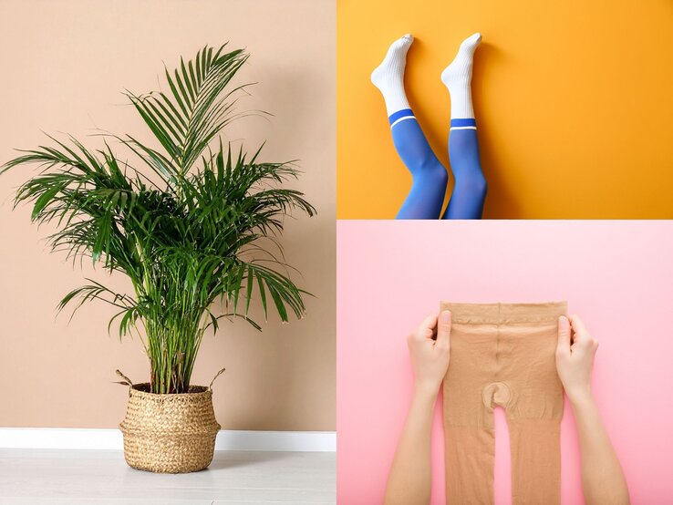 Eine grüne Zimmerpalme in einem geflochtenen Korb steht auf hellem Boden vor einer beigefarbenen Wand.