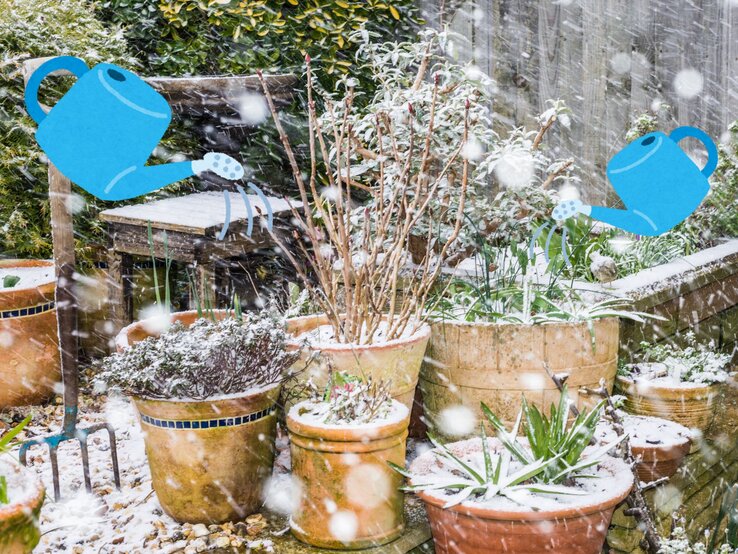 Gartenbereich mit schneebedeckten Pflanzkübeln und Pflanzen, animierte blaue Gießkannen fügen einen humorvollen Akzent hinzu.