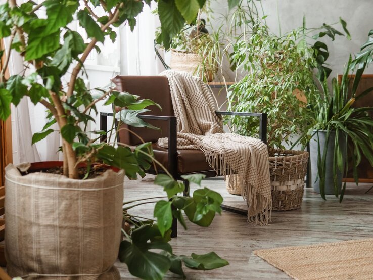 Lederne braune Sessel mit beigefarbener Decke steht in einem hellen Raum, umgeben von grünen Zimmerpflanzen und Körben auf Holzboden.