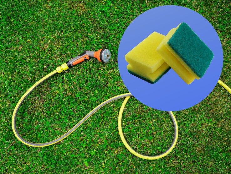 Gartenschlauch auf grünem Rasen mit orangem Sprühkopf und zwei gelben Schwämmen im blauen Kreis daneben.