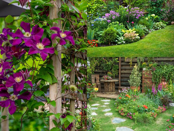 Üppige lila Clematisblüten ranken an einem Holzspalier; daneben grüne Wiese mit blühendem Beet und rustikale Sitzecke im Garten.