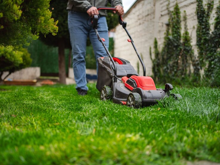 Eine Person in grauer Jacke und blauen Jeans mäht mit einem roten und schwarzen Rasenmäher grünes Gras in einem Garten mit Bäumen.