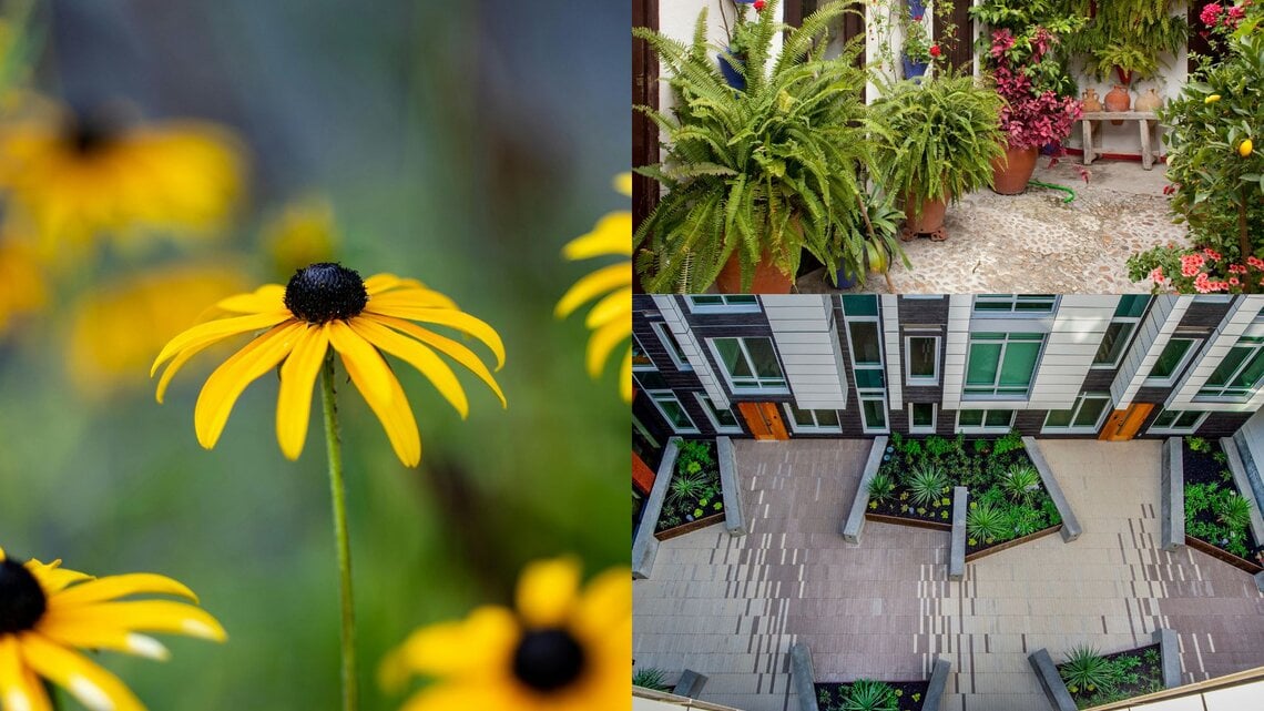 Mediterraner Innenhof mit üppigen Farnen, blühenden Pflanzen und Keramiktöpfen auf Natursteinboden.