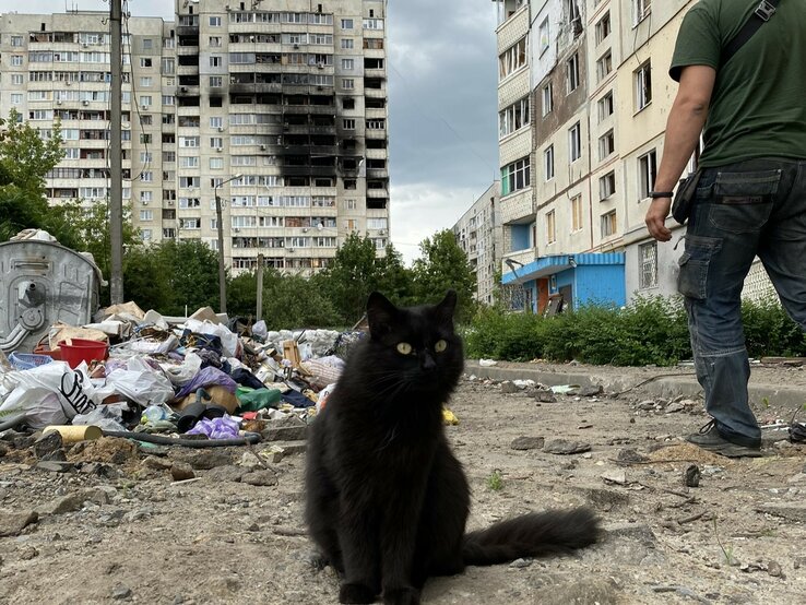 Auf sich gestellt Katze in einem zerstörten Ort in der Ukraine, ein Mann läuft an ihr vorbei | © PETA-D