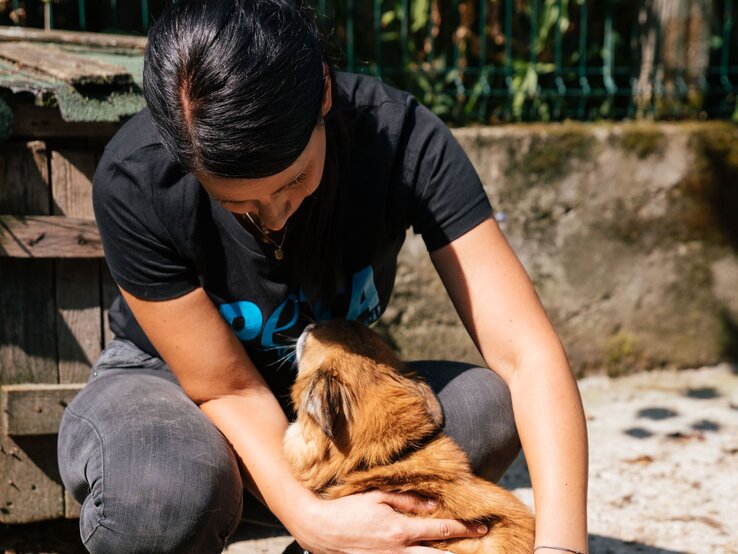 Peta-Hund-Paulina6 | © PETA Eine dunkelhaarige Frau in schwarzem Shirt kniet vor einer Hundehütte und streichelt liebevoll einen kleinen braunen Hund. | © PETA