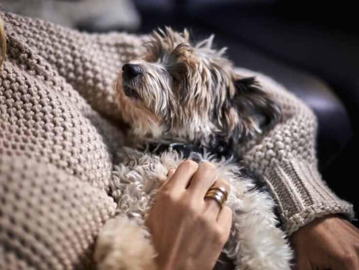 Frau hält einen kleinen Hund im Arm.